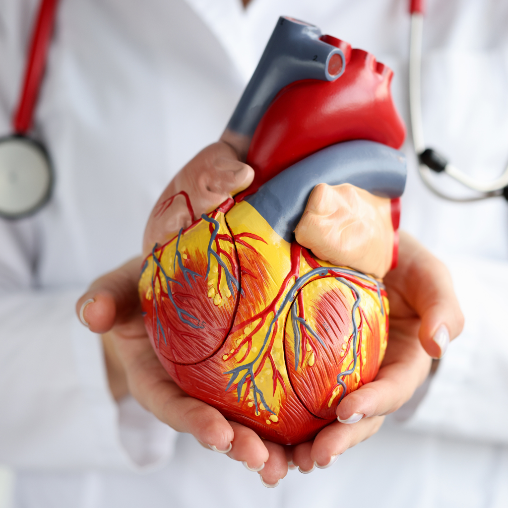 best heart doctor in raja park