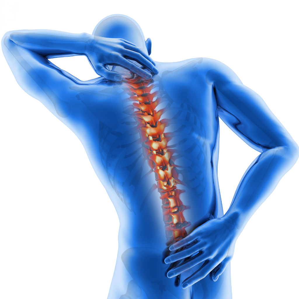 best spine surgeon in Vaishali Nagar