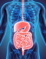 Best Gastrologist in Mansarovar