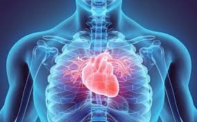 Best Cardio Doctor in Sitapura
