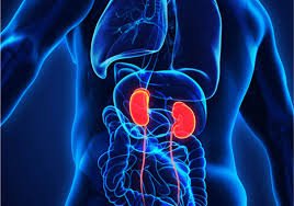 Best Nephrology Hospital in Jaipur