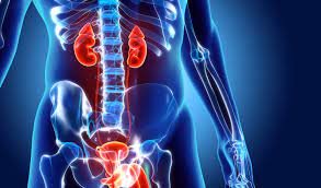 Best Urology Hospital in C Scheme