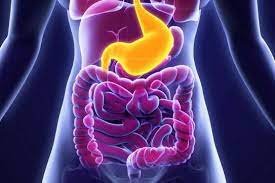 Best Gastrologist in C Scheme