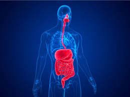 Best Gastrologist in Malviya Nagar