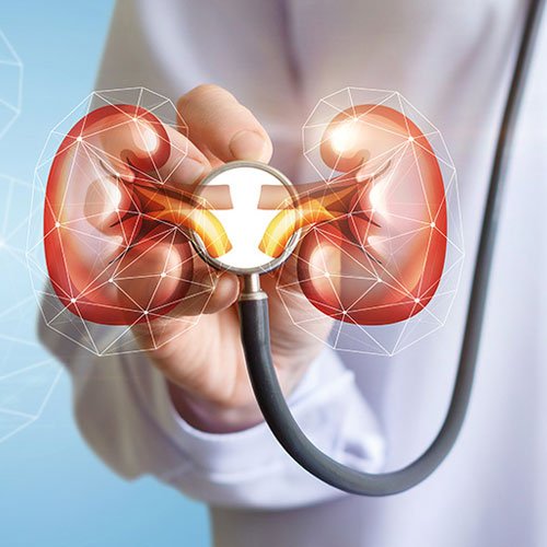 Best Nephrology Hospital in Jhotwara